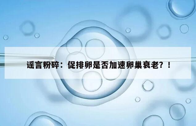 谣言粉碎：促排卵是否加速卵巢衰老？