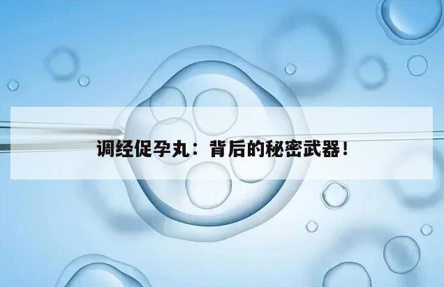 调经促孕丸:提升怀孕概率的有效辅助手段