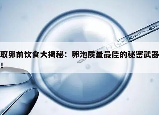 取卵前饮食大揭秘:卵泡质量最佳的秘密武器!