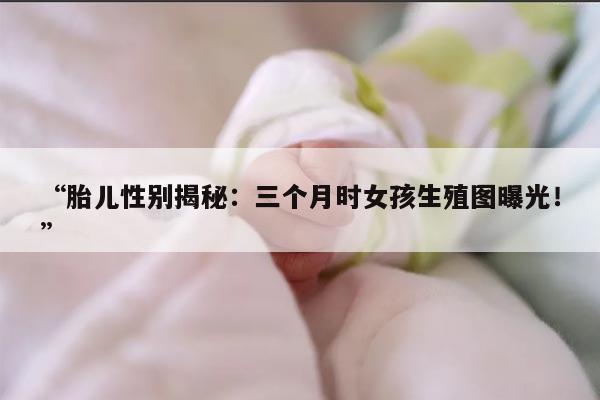 “胎儿性别揭秘:三个月时女孩生殖图曝光!”