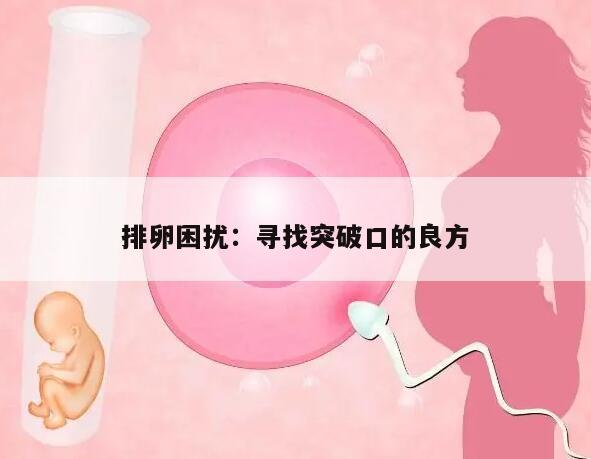 排卵困扰:寻找突破口的良方