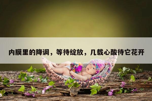 内膜里的降调，等待绽放，几载心酸待它花开