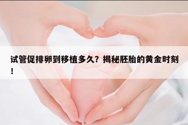 试管促排卵到移植多久?揭秘胚胎的黄金时刻!