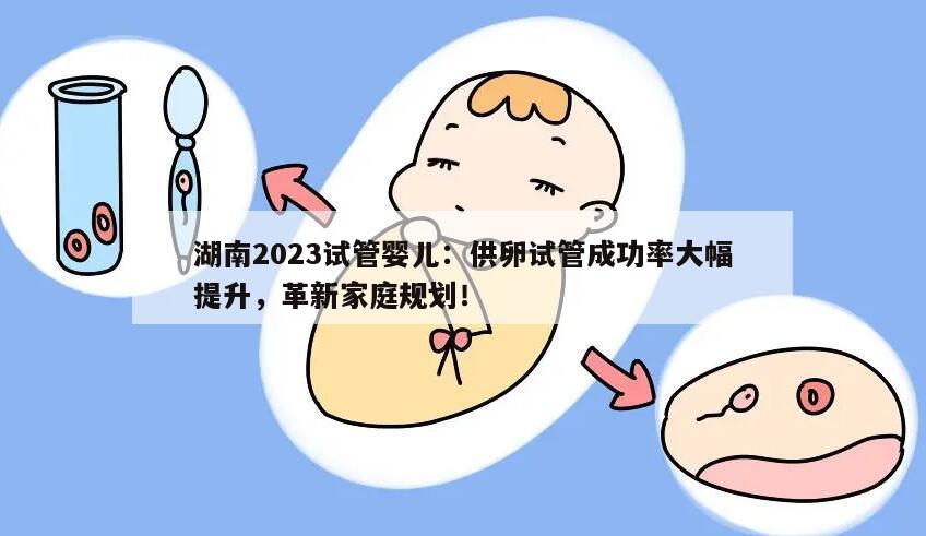 湖南2023试管婴儿:供卵试管成功率大幅提升,革新家庭规划!