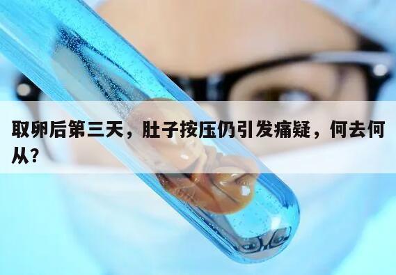 取卵后第三天，肚子按压仍引发痛疑，何去何从？