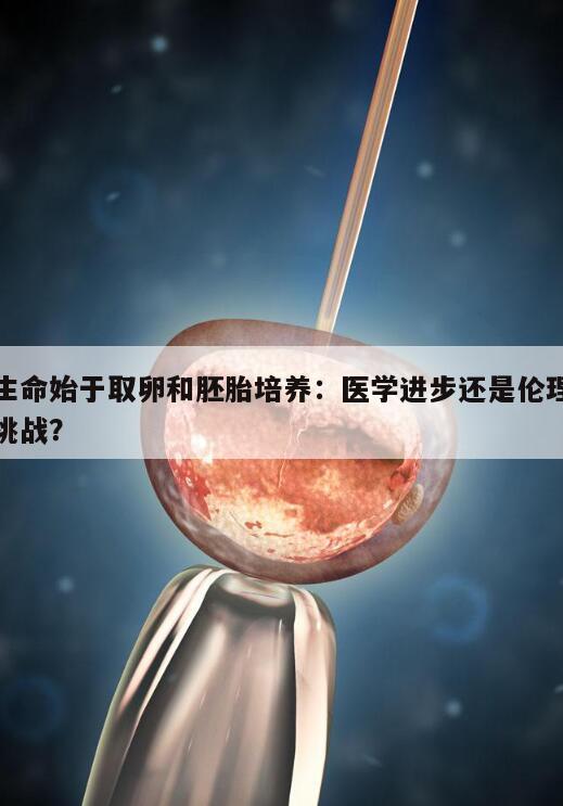生命始于取卵和胚胎培养:医学进步还是伦理挑战?
