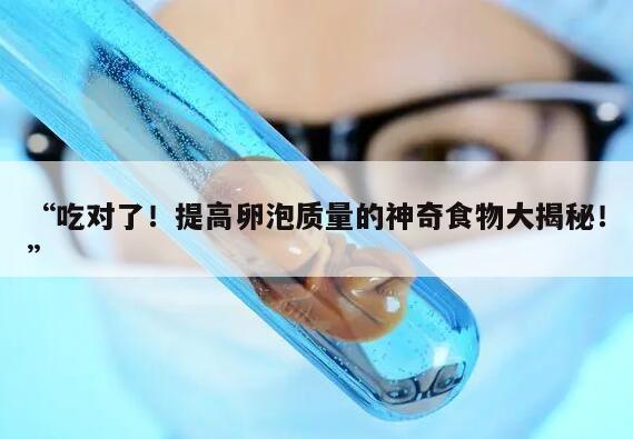 吃对了！提高卵泡质量的神奇食物大揭秘！