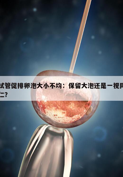试管促排卵泡大小不均：保留大泡还是一视同仁？