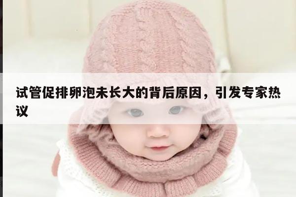 试管促排卵泡未长大的背后原因,引发专家热议