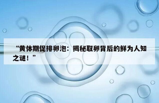 黄体期促排卵泡：揭秘取卵背后的鲜为人知之谜！