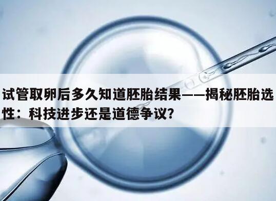 试管取卵后多久知道胚胎结果——揭秘胚胎选性:科技进步还是道德争议?