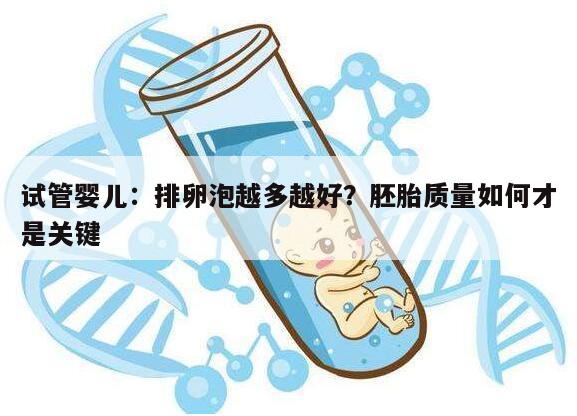 试管婴儿:排卵泡越多越好?胚胎质量如何才是关键