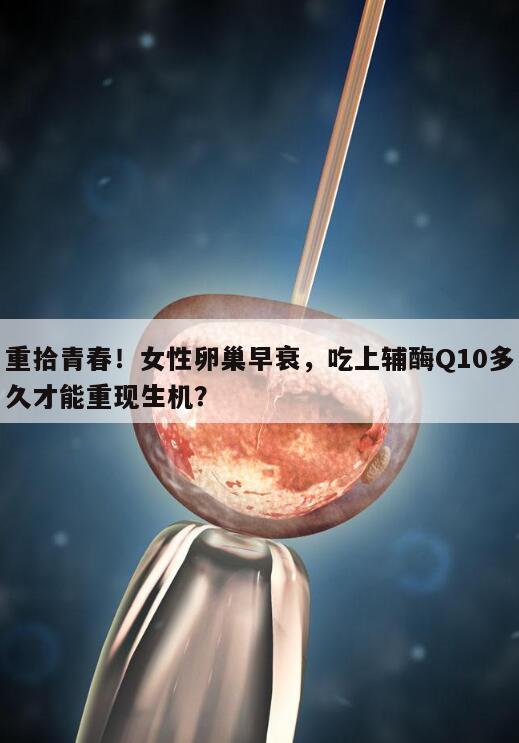 重拾青春!女性卵巢早衰,吃上辅酶Q10多久才能重现生机?