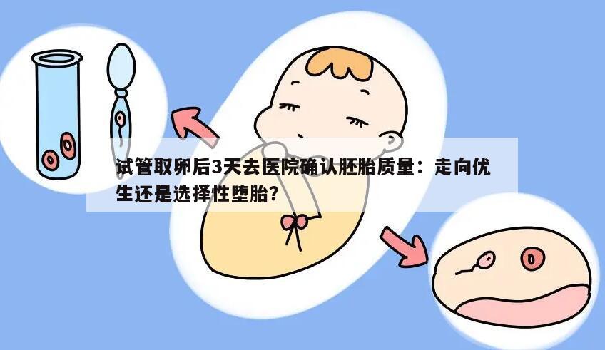 试管取卵后3天去医院确认胚胎质量：走向优生还是选择性堕胎？