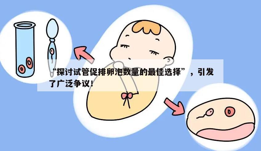 “探讨试管促排卵泡数量的最佳选择”,引发了广泛争议!