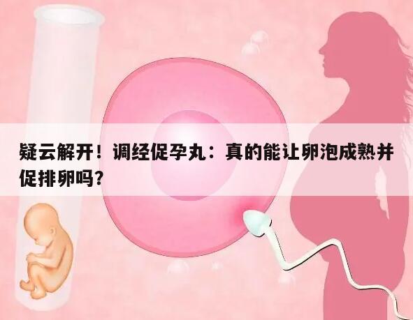疑云解开!调经促孕丸:真的能让卵泡成熟并促排卵吗?