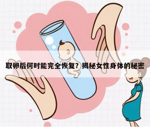 取卵后何时能完全恢复？揭秘女性身体的秘密