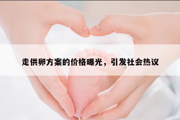 走供卵方案的价格曝光,引发社会热议