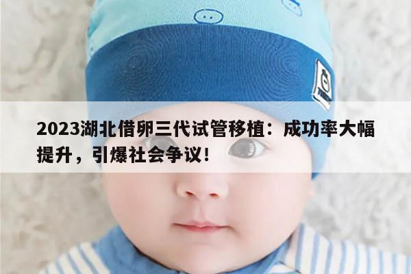 2023湖北借卵三代试管移植成功率高吗