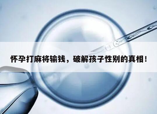 怀孕打麻将输钱,破解孩子性别的真相!