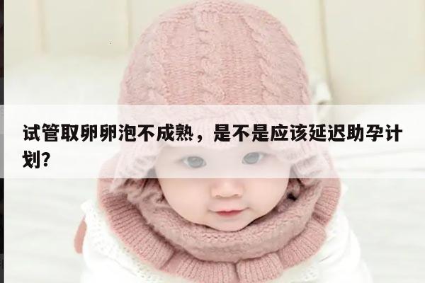 试管取卵卵泡不成熟,是不是应该延迟助孕计划?