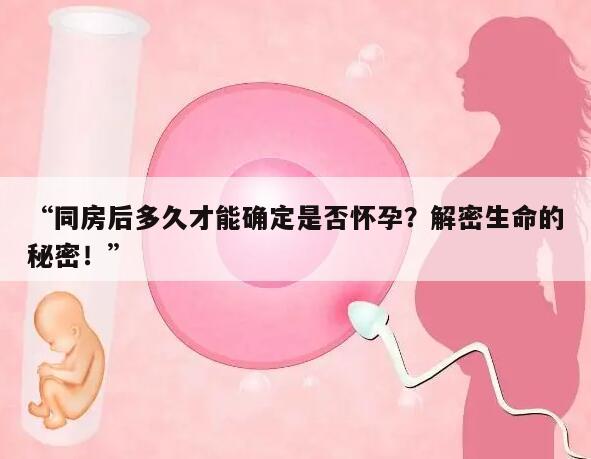 “同房后多久才能确定是否怀孕?解密生命的秘密!”