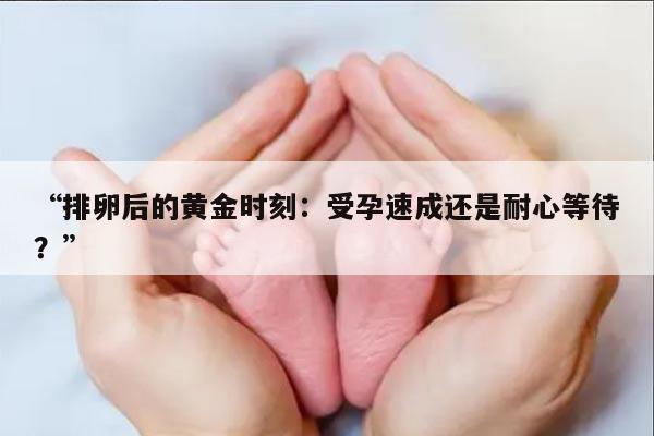 “排卵后的黄金时刻：受孕速成还是耐心等待？