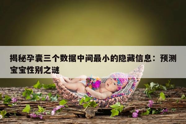 揭秘孕囊三个数据中间最小的隐藏信息:预测宝宝性别之谜