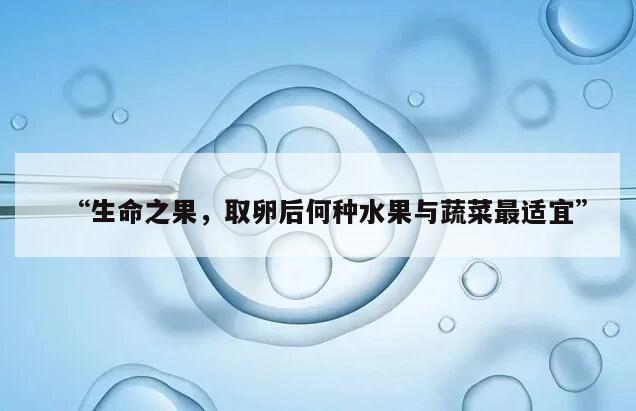 生命之果,取卵后何种水果与蔬菜最适宜