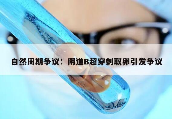 自然周期争议:阴道B超穿刺取卵引发争议