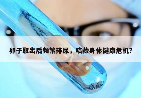 卵子取出后频繁排尿,暗藏身体健康危机?