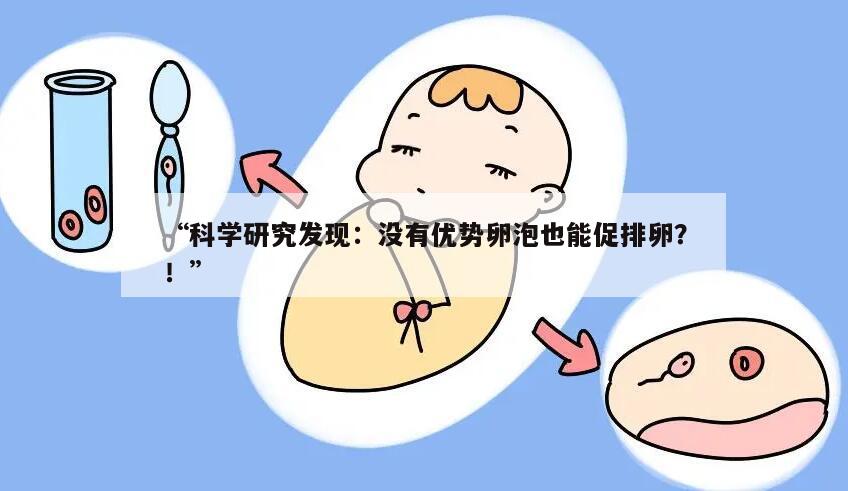 科学研究发现：没有优势卵泡也能促排卵？