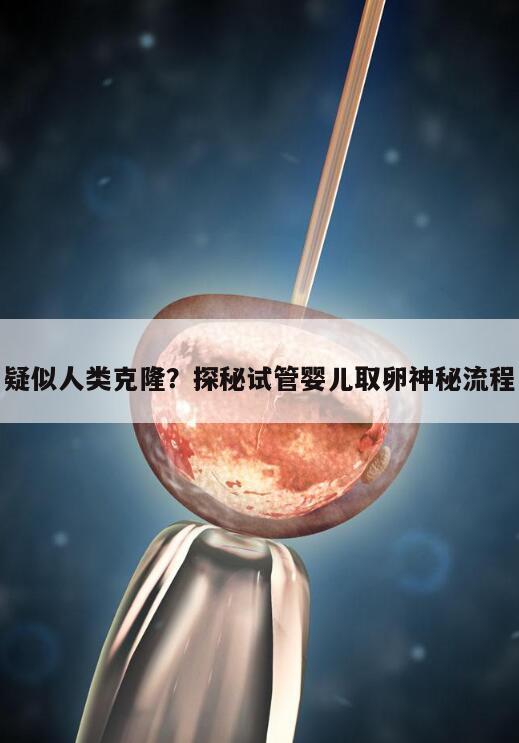 疑似人类克隆?探秘试管婴儿取卵神秘流程
