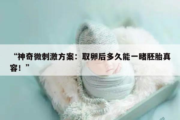 神奇微刺激方案：取卵后多久能一睹胚胎真容！