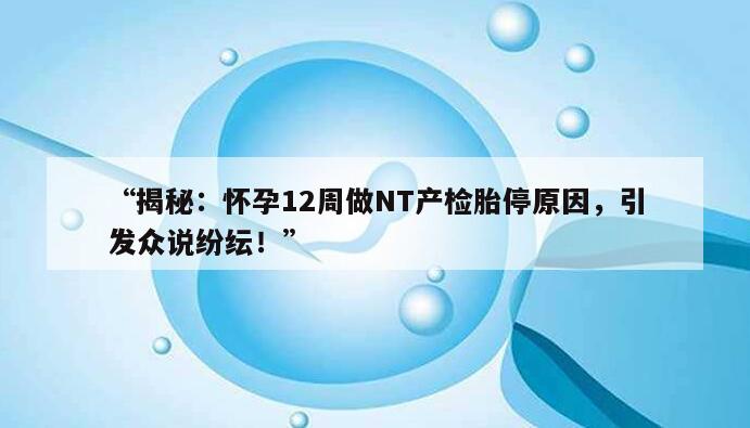 揭秘:怀孕12周做NT产检胎停原因,引发众说纷纭!