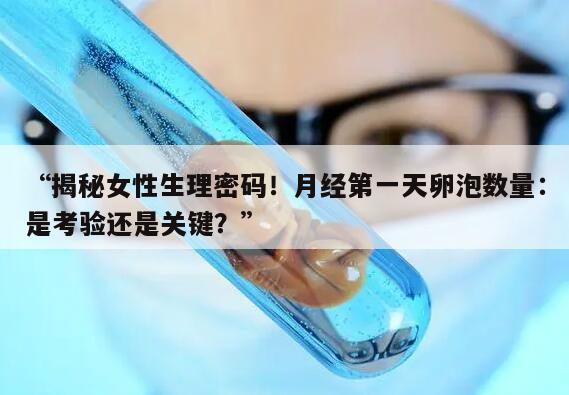 揭秘女性生理密码!月经第一天卵泡数量:是考验还是关键?