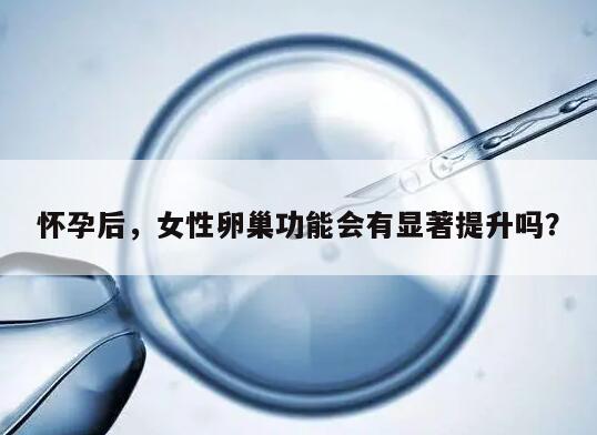 怀孕后,女性卵巢功能会有显著提升吗?
