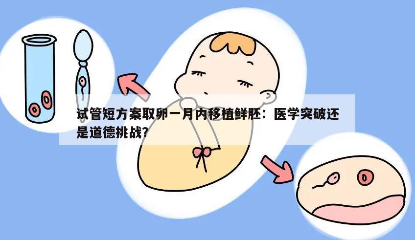 试管短方案取卵一月内移植鲜胚:医学突破还是道德挑战?