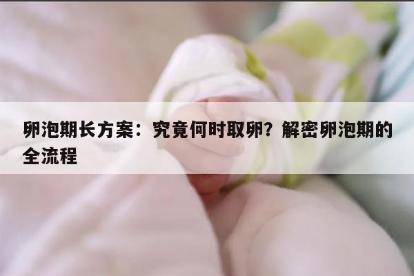 卵泡期长方案:究竟何时取卵?解密卵泡期的全流程