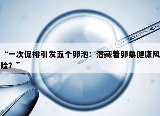 一次促排引发五个卵泡:潜藏着卵巢健康风险?