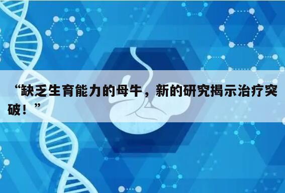 缺乏生育能力的母牛，新的研究揭示治疗突破！