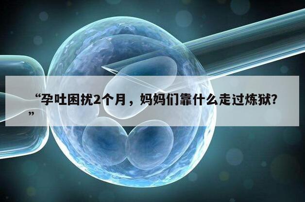 “孕吐困扰2个月，妈妈们靠什么走过炼狱？”