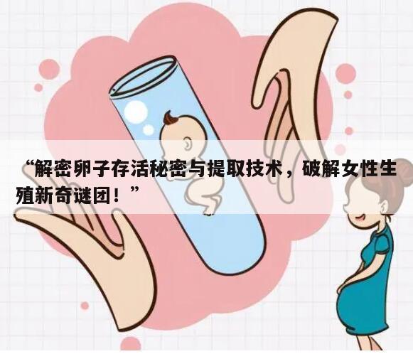 “解密卵子存活秘密与提取技术，破解女性生殖新奇谜团！”