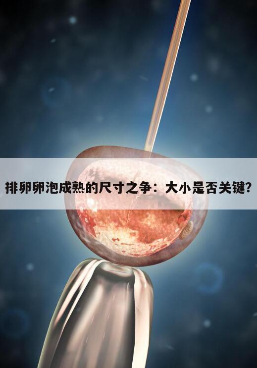 排卵卵泡成熟的尺寸之争：大小是否关键？