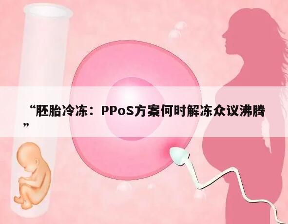 “胚胎冷冻:PPoS方案何时解冻众议沸腾”