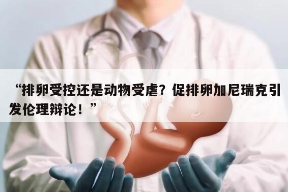 “排卵受控还是动物受虐？促排卵加尼瑞克引发伦理辩论！”