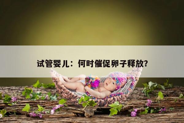 试管婴儿:何时催促卵子释放?