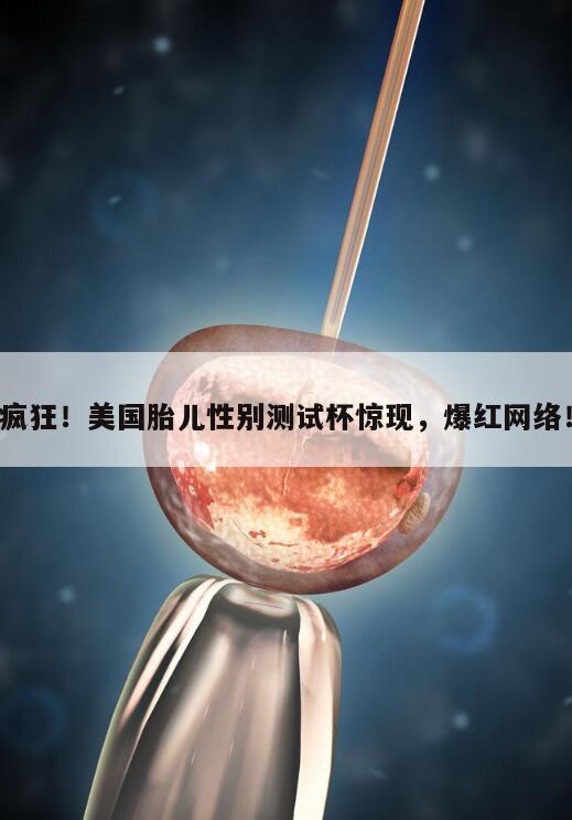 疯狂!美国胎儿性别测试杯惊现,爆红网络!