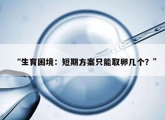 生育困境：短期方案只能取卵几个？