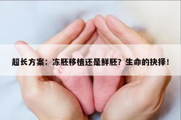 超长方案:冻胚移植还是鲜胚?